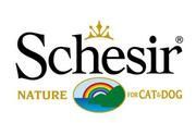 Schesir