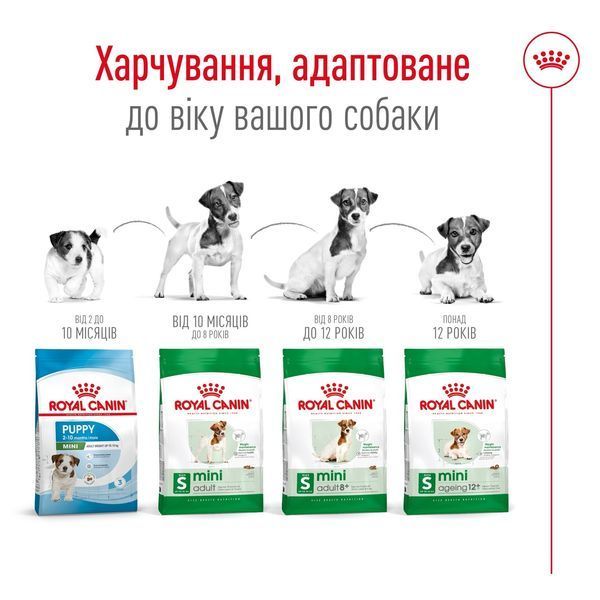 Royal Canin Mini Adult сухий корм для собак дрібних порід 0.8 кг 365 грн фото