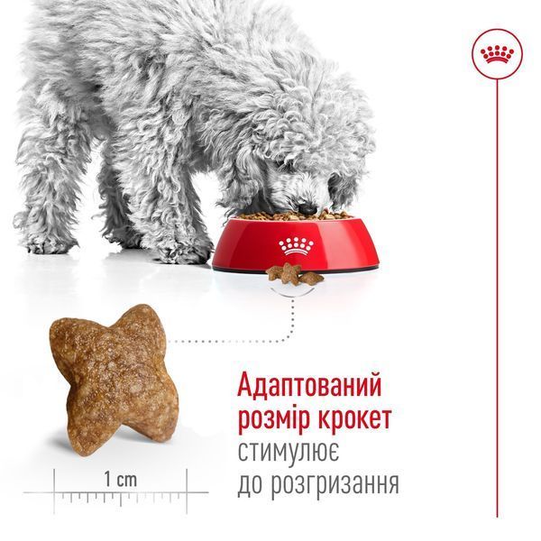 Royal Canin Mini Adult сухий корм для собак дрібних порід 0.8 кг 365 грн фото