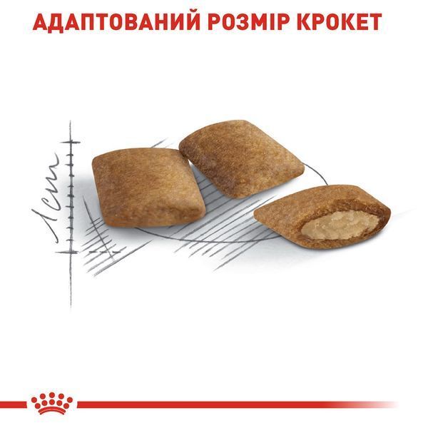 Royal Canin Sterilised Ageing 12+ сухий корм для літніх стерилізованих котів 2 кг 1 010 грн фото
