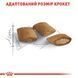 Royal Canin Sterilised Ageing 12+ сухий корм для літніх стерилізованих котів 2 кг 3182550805384 фото 5