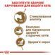 Royal Canin Sterilised Ageing 12+ сухий корм для літніх стерилізованих котів 2 кг 3182550805384 фото 4