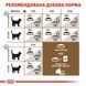 Royal Canin Sterilised Ageing 12+ сухий корм для літніх стерилізованих котів 2 кг 3182550805384 фото 6