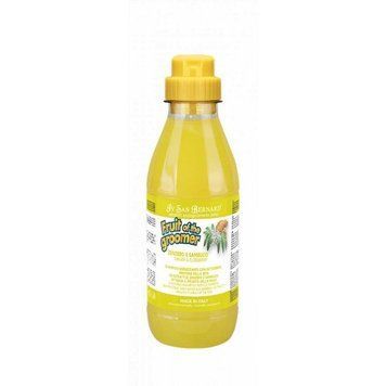 Iv San Bernard Ginger та Elderberry шампунь дезінфікуючий для собак та котів, 500 мл