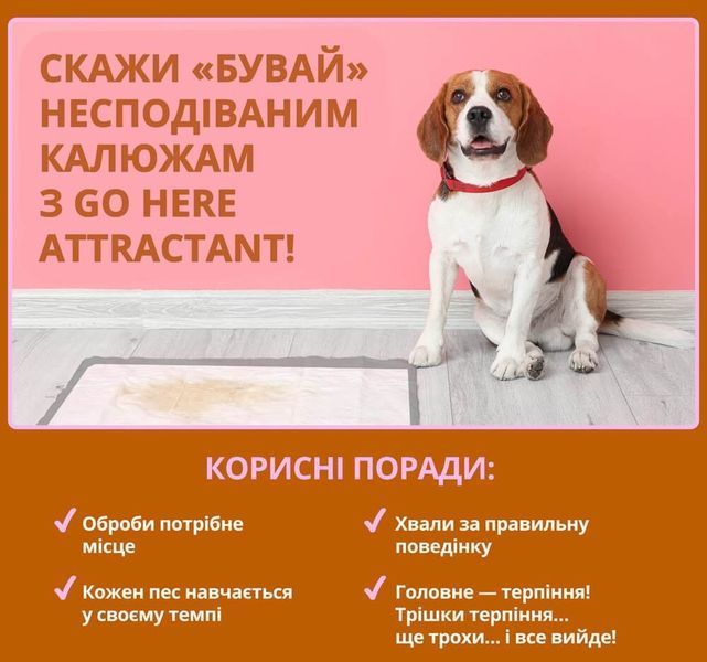 Out! Go Here спрей для приучения щенят к туалету, 946 мл