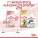 Royal Canin Kitten сухой корм для котят 400 гр 3182550702379 фото 7