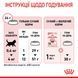 Royal Canin Kitten сухой корм для котят 400 гр 3182550702379 фото 9