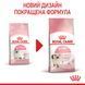 Royal Canin Kitten сухой корм для котят 400 гр 3182550702379 фото 6