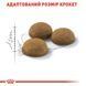 Royal Canin Indoor Long Hair сухой корм для длинношерстных котов, живущих в помещении 2 кг 3182550739382 фото 12