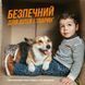 Out! Orange Oxy Stain & Odor Remover спрей для удаления пятен и запахов от животных, 946 мл