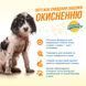 Out! Orange Oxy Stain & Odor Remover спрей для удаления пятен и запахов от животных, 946 мл