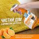 Out! Orange Oxy Stain & Odor Remover спрей для удаления пятен и запахов от животных, 946 мл