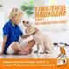Out! Orange Oxy Stain & Odor Remover спрей для удаления пятен и запахов от животных, 946 мл