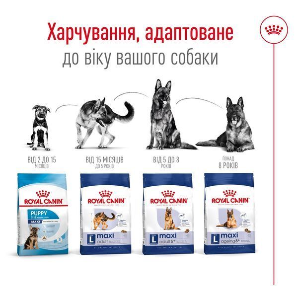 Royal Canin Maxi Adult сухой корм для собак крупных пород 15 кг 4 200 грн фото