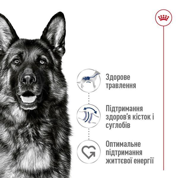 Royal Canin Maxi Adult сухой корм для собак крупных пород 15 кг 4 200 грн фото