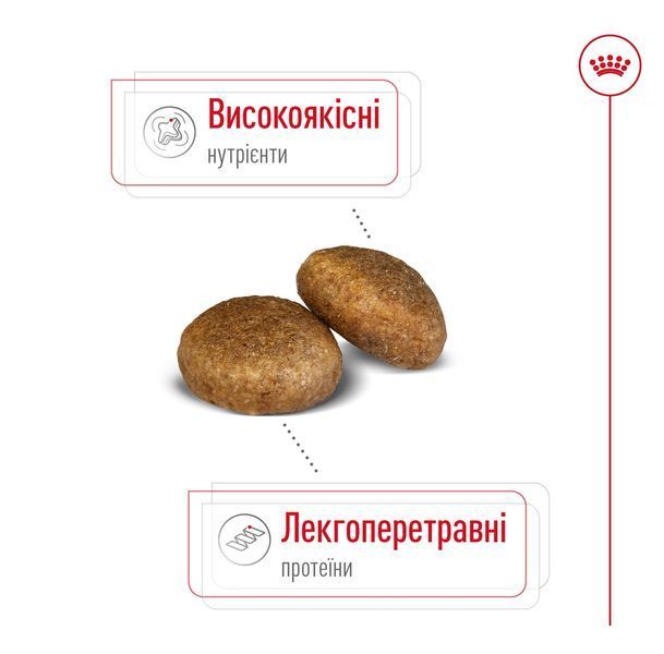 Royal Canin Maxi Adult сухой корм для собак крупных пород 15 кг 4 200 грн фото