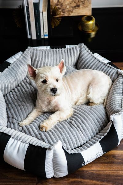 Chloe's Home Monte Carlo лежак для собак та котів, 65 х 24 см, чорний 5 081 грн фото