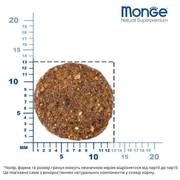 Monge Monoprotein Puppy and Junior All Breeds Agnello сухий корм з ягнятком для цуценят, 0.8 кг 450 грн фото