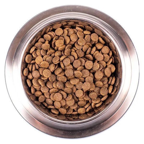 Monge Monoprotein Puppy and Junior All Breeds Agnello сухий корм з ягнятком для цуценят, 0.8 кг 450 грн фото