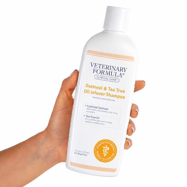 Veterinary Formula Advanced Oatmeal & Tea Tree Oil Infuser Shampoo увлажняющий шампунь для собак, 473 мл