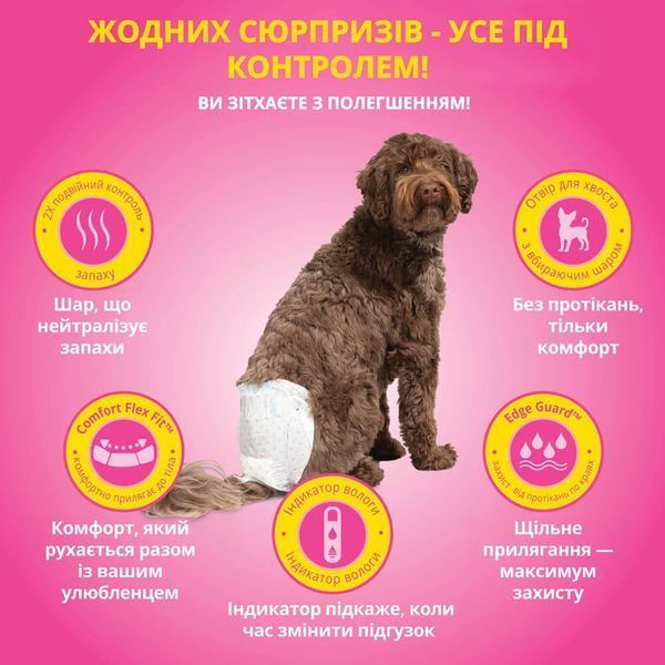 Out! Comfort Dri Disposable Fashion Diapers одноразовые памперсы для собак-самок, 33 - 46 см, 16 шт