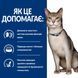 Hill's PD Feline K/D сухой корм с курицей для котов с заболеваниями почек 8 кг