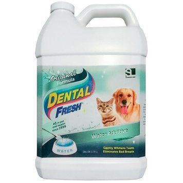 SynergyLabs Dental Fresh еліксир від зубного нальоту та запаху з пащі у собак та котів, 3.79 л