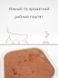 Morando Miogatto Adult Salmon and Shrimps вологий корм з лососем та креветками для котів 100 гр
