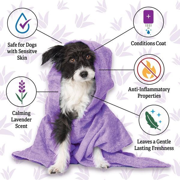 Espree Calming Lavender & Chamomile Dog Shampoo & Conditioner успокаивающий шампунь-кондиционер для собак, 591 мл