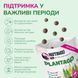 LK Baits Pet Nutrigo Plantago Mini лакомства с сиропом подорожника для собак малых пород, 75 гр 7777026 фото 4