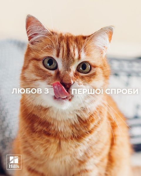 Hill's PD Feline K/D сухой корм с лососем для котов с заболеваниями почек, 1.5 кг 1 349 грн фото