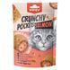 Wanpy Crunchy Pockets Salmon & Roe ласощі для котів з лососем, 70 г
