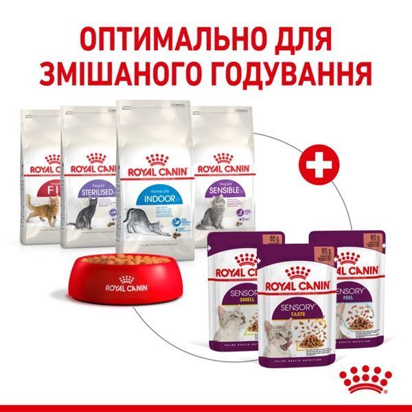 Royal Canin Sensory Smell вологий корм для вибагливих котів 85 гр 62 грн фото