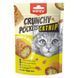 Wanpy Crunchy Pockets Chicken & Catnip лакомство для котов с кошачьей мятой, 70 г