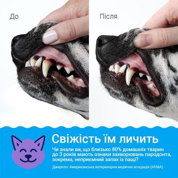 SynergyLabs Dental Fresh Advanced eліксир для догляду за зубами у собак, 503 мл