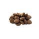 Brit Premium Sensitive Lamb & Rice сухий корм для собак, 1 кг 8595602526611 фото 2
