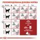 Royal Canin Fit 32 сухой корм для котов, живущих в помещении 400 гр 3182550702157 фото 7