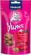 Vitakraft Yums Duck ласощі для котів з качкою, 40 гр 4008239398109 фото 1