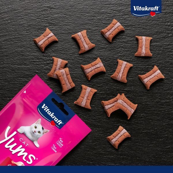 Vitakraft Yums Duck ласощі для котів з качкою, 40 гр 106 грн фото