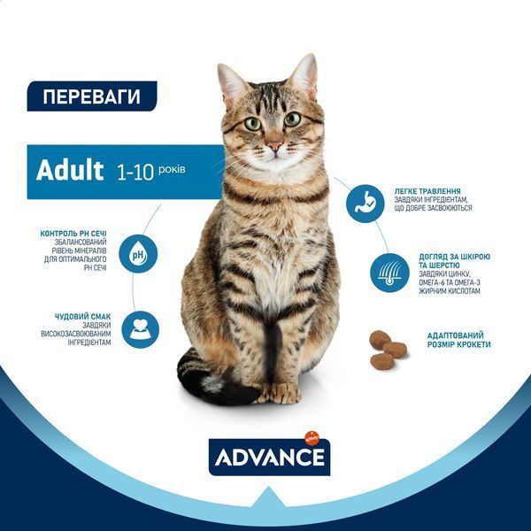 Advance Cat Chicken & Rice сухой корм с курицей для котов, 3 кг