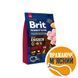 Brit Premium Senior L+XL сухий корм з куркою для літніх собак великих порід, 3 кг 8595602526475 фото 3