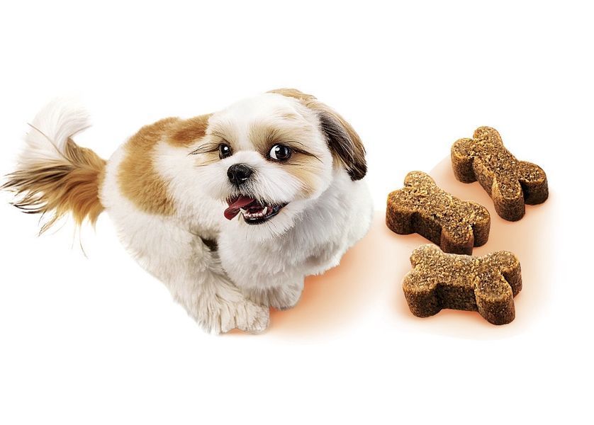 Brit Care Mini Treats Think ласощі для собак малих порід для покращення когнітивних здібностей, 50 гр 179 грн фото