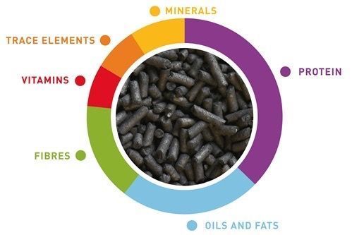 Padovan Valman Black Pellets корм для комахоїдних птахів, 1 кг