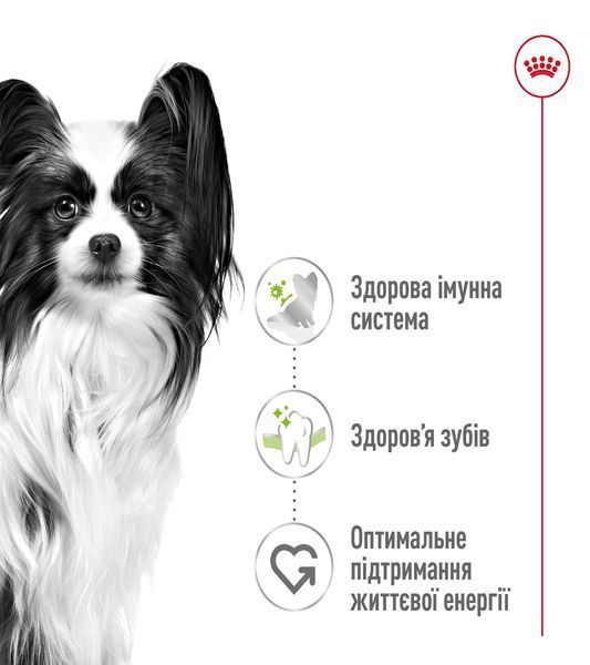 Royal Canin X-Small Adult сухой корм для взрослых собак мелких пород 3 кг 1 260 грн фото
