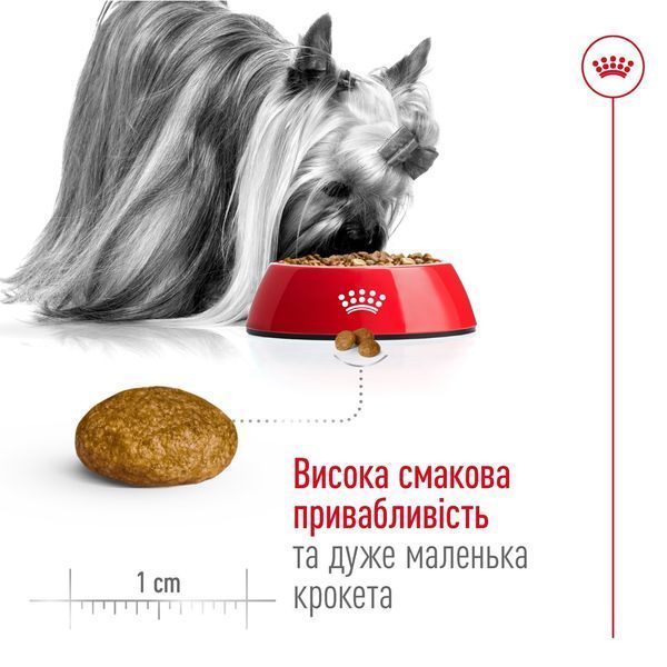 Royal Canin X-Small Adult сухой корм для взрослых собак мелких пород 3 кг 1 260 грн фото