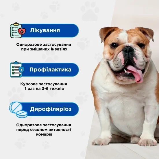 ModeS Квадромідас протипаразитарні таблетки для собак вагою 16-32 кг, 1 табл 238 грн фото