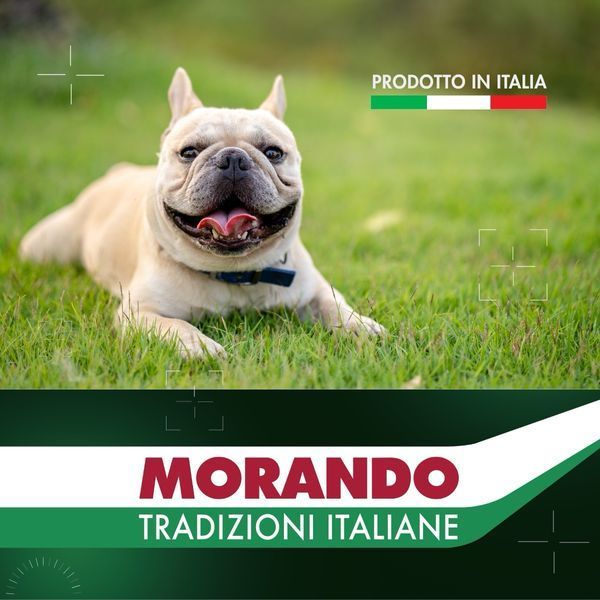 Morando Tradizioni влажный корм для собак с говядиной и свининой, 300 гр 99 грн фото