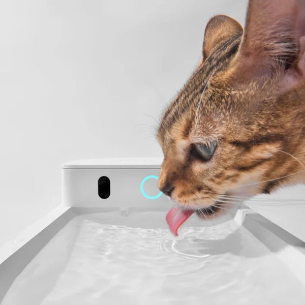 Catlink AI Water Fountain - Wireless смарт-поїлка для котів та собак, 2.3 л 3 032 грн фото