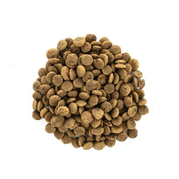 Brit Care Cat Adult GF Large Cats Power & Vitality сухой корм с уткой и курицей для котов больших пород, 2 кг