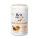 Brit Vitamins Multivitamin витамины для укрепления здоровья собак, 150 гр 8595602562527 фото 1